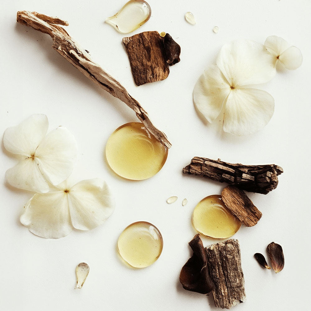 Whipped Tallow Balm by NavaBella Beauty