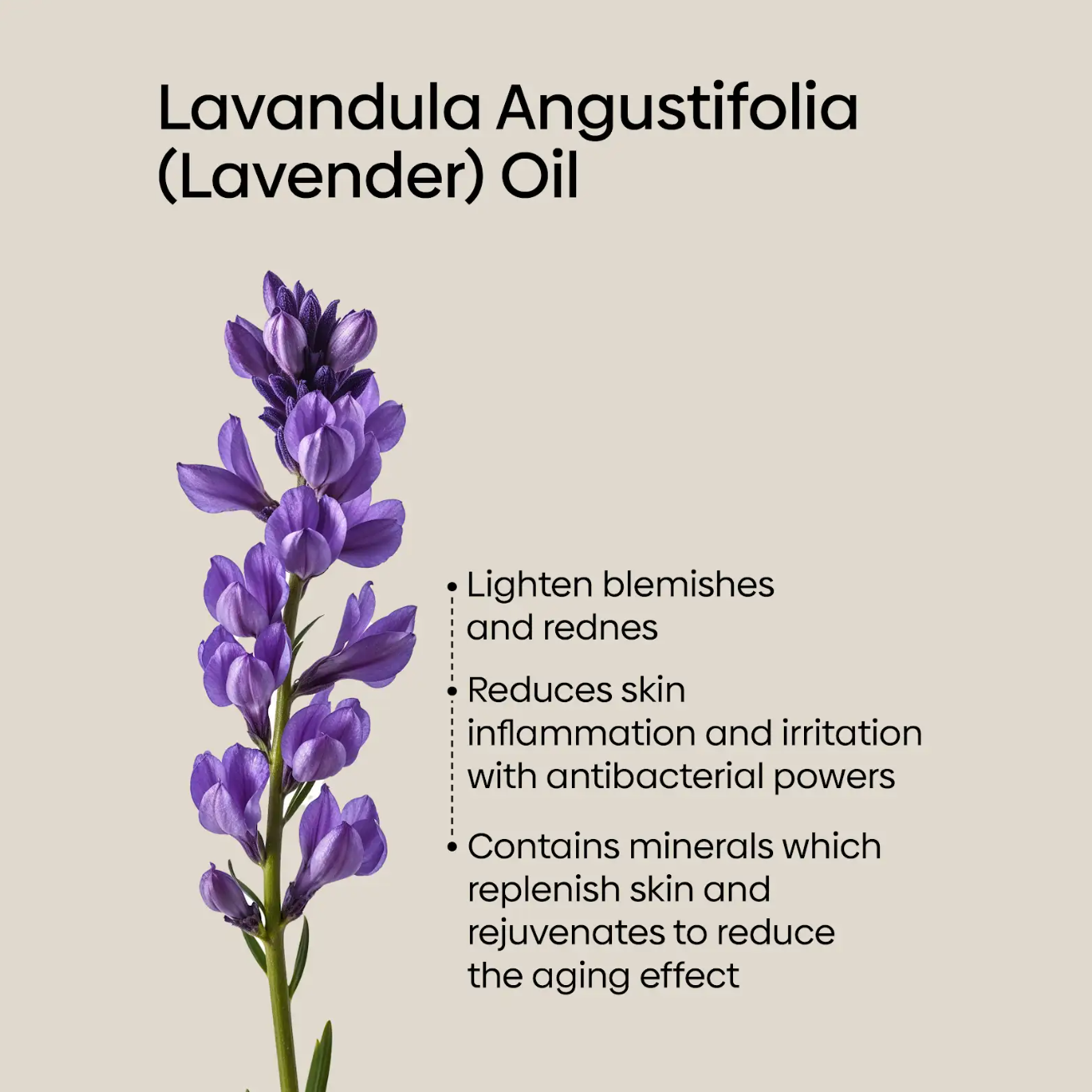 Purifying Oil Foaming Cleanser