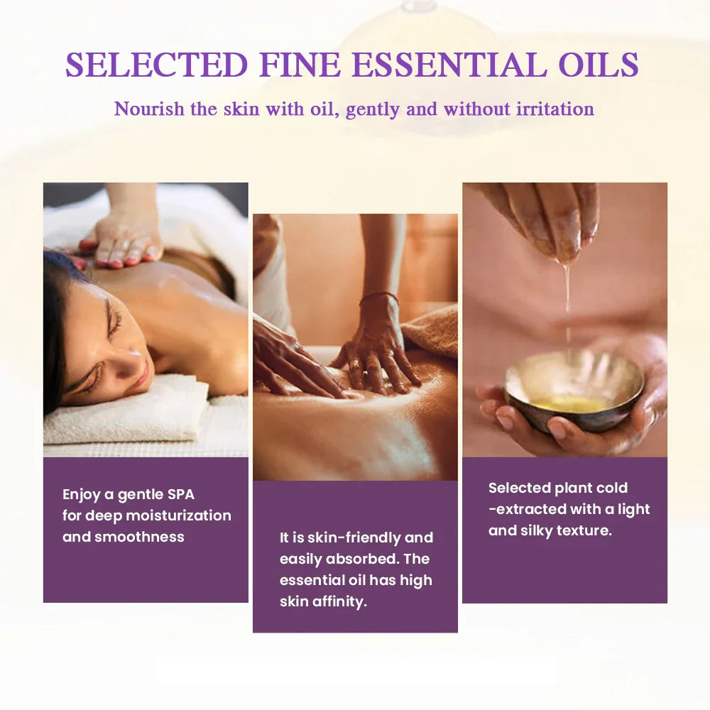 Lavender Bliss Oil Set