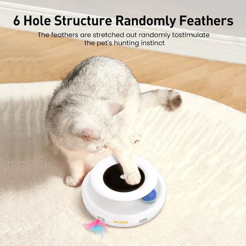 Whisker Whirl Interactive Pet Toy