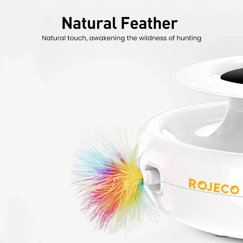 Whisker Whirl Interactive Pet Toy