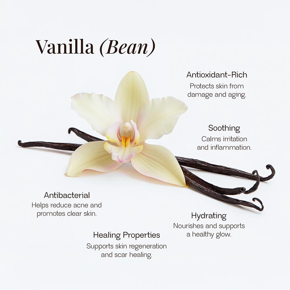Whipped Tallow Balm by NavaBella Beauty