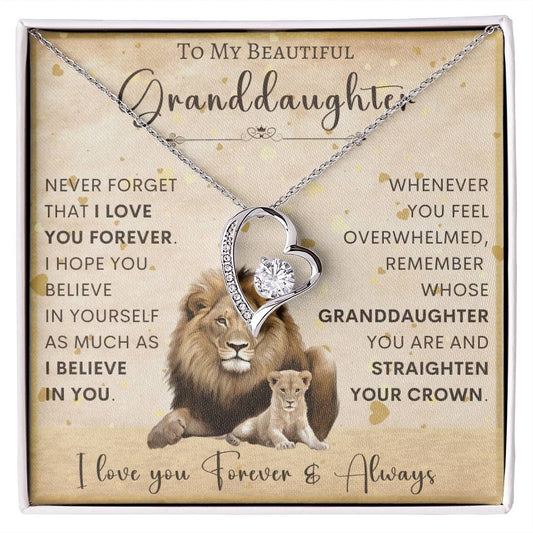 To My Granddaughter