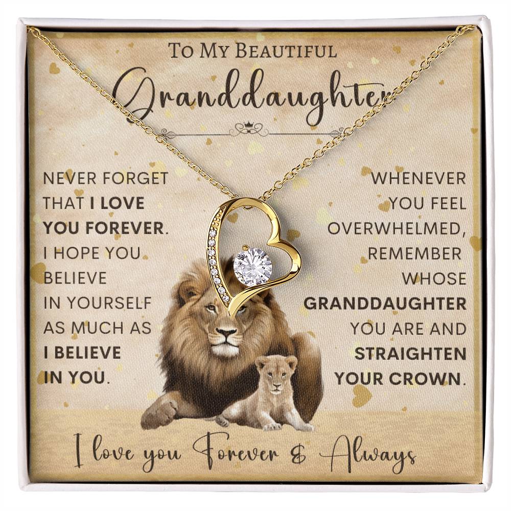 To My Granddaughter