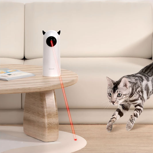 Purrfect Play Laser Toy