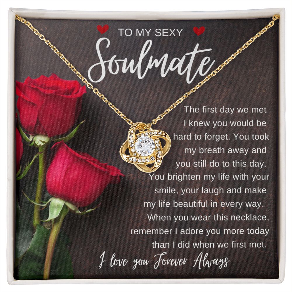 TO MY SEXY SOULMATE | Love Knot Necklace | Soulmate necklace, Soulmate gift, Anniversary gift, Gift for soulmate Wife necklace